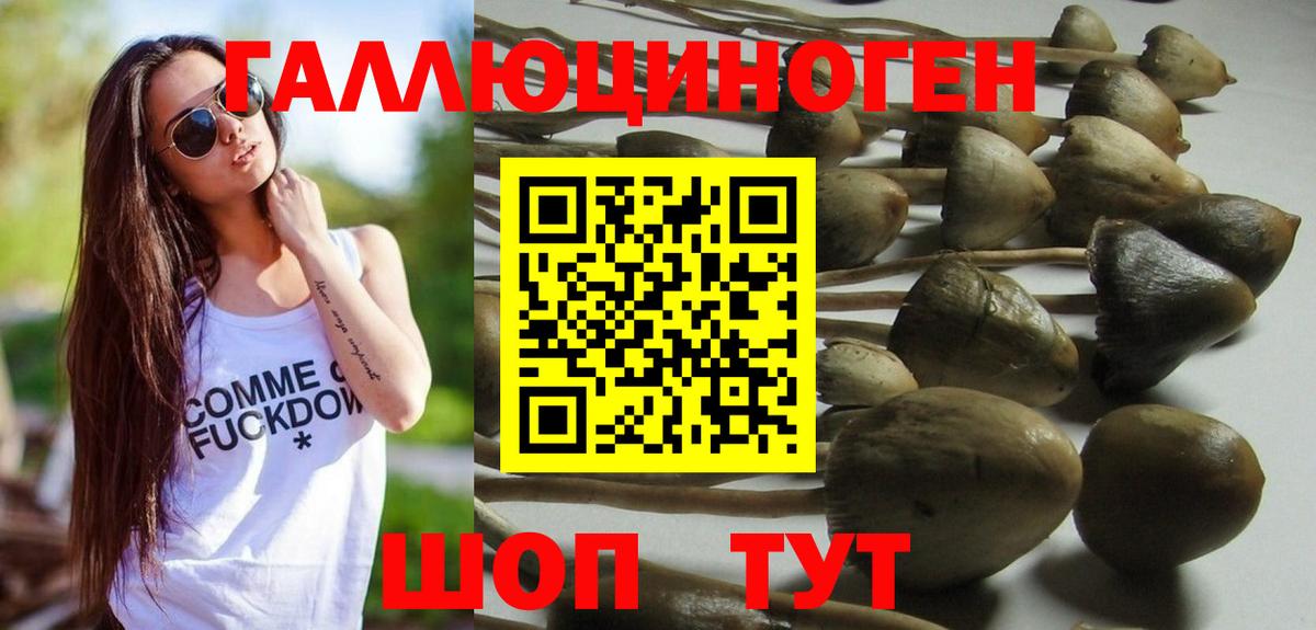Галлюциногенные грибы GOLDEN TEACHER  Вход с VPN  купить закладку  Рубцовск 