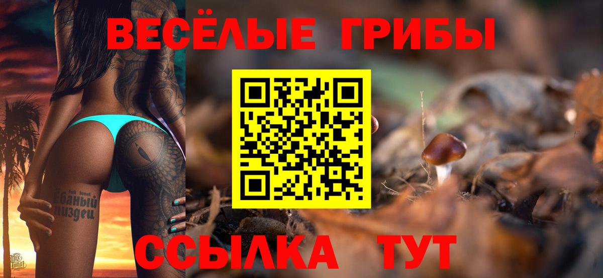Псилоцибиновые грибы Psilocybe Рубцовск